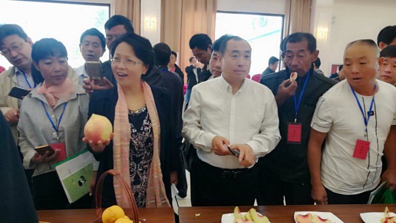 微信图片_20180928084604 微信图片_20180928084604