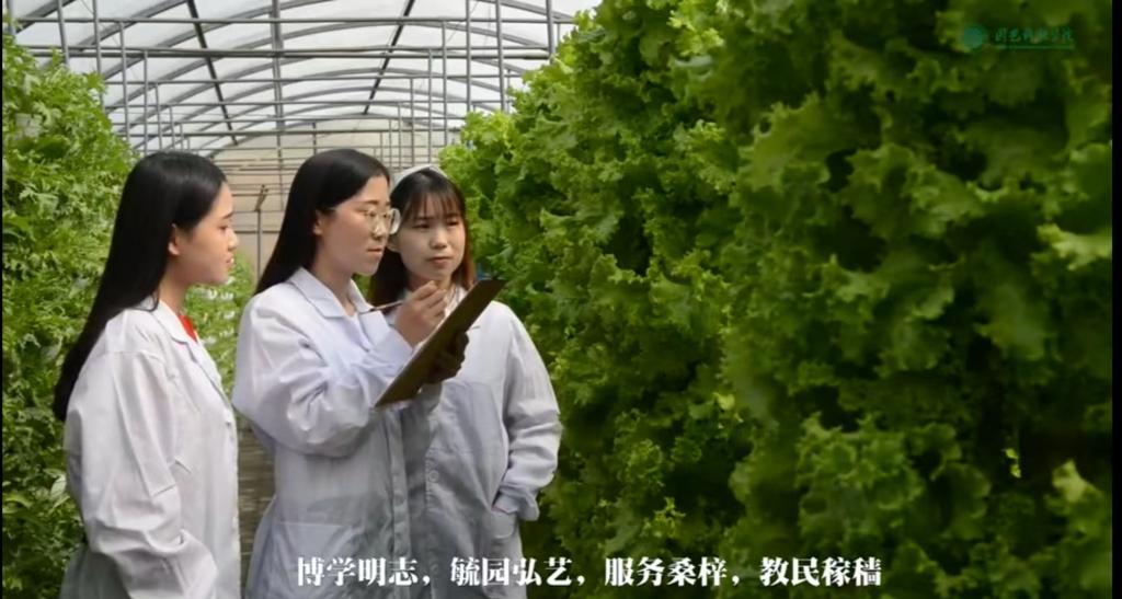 FUN88乐天使招生宣传短片