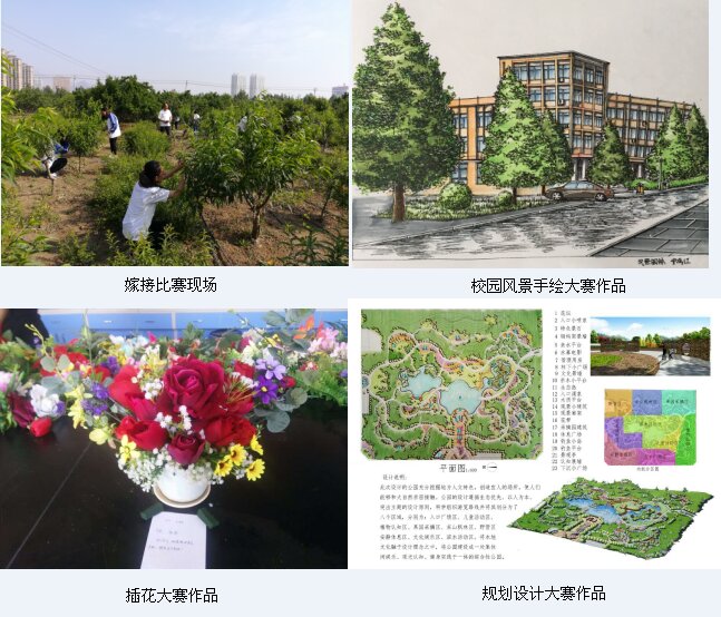 图片1_proc 图片1_proc